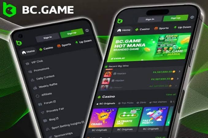 Comprehensive Guide to Payment Methods at BC Game