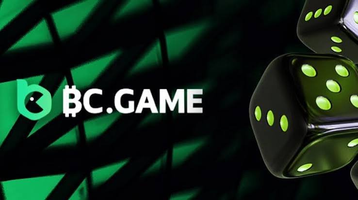 Comprehensive Guide to Payment Methods at BC Game
