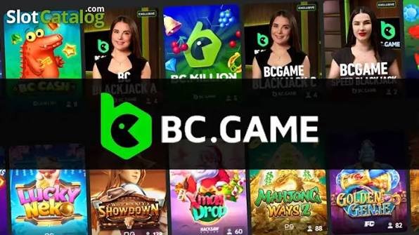 Getting Started with the BC App Your Ultimate Download Guide